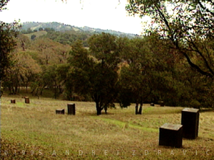 2 Richard Serra at Oliver nT1995-AZdravic 300